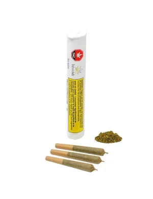 Marijuana Pre-rolled Joints Europe